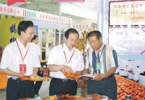 原安陽市市長董永安、副市長陳明今到公司調(diào)研